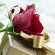 Om.Youssef