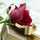 Om.Youssef Om.Youssef