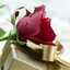 Om.Youssef