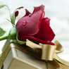 Om.Youssef