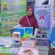 Faidah Saja