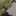 Nisrinaa_03 Nisrinaa_03
