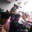 Novia Ferina S