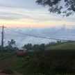 Pradeep Murthy