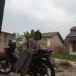Mbk Pii Chopi