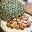 Mwtb Alshehri