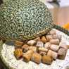 Mwtb Alshehri