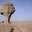 Mohmad Elhadj