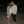 Eurydice Sweeney