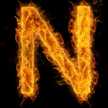 Nelson
