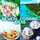 Newcal Cooking Ideas Newcal Cooking Ideas