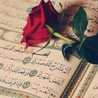 Zineb Zineb