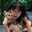 Linh Linh