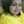 Suryaa Deepak