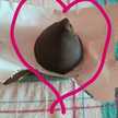 leticia__peralta@hotmail.com.ar