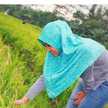 Nur Faizah Eliya Sari