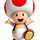 jamurtumis6496 jamurtumis6496