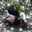 Esther Voth Brenneman Esther Voth Brenneman