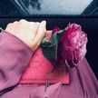 Getty Rose Getty Rose