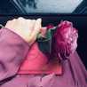 Getty Rose