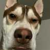 Vivian
