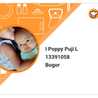I Poppy Puji L