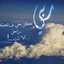 عبير الحربي
