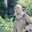 Verlina Intan