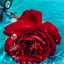 Ⓐrezo♥