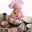 عيون المها