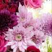 mnoor_kw