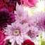 mnoor_kw