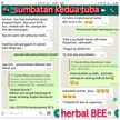 Promil Chusnul