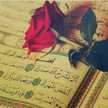 فاتن موفق