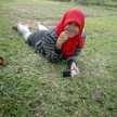 ariefa inayah