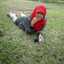 ariefa inayah