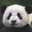 Mrs.Panda