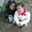 Deeboo Giovi ʚïɞ Vera