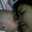Onny Herlina