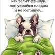 Ирина Александровна🌷
