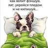 Ирина Александровна🌷
