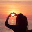 dody