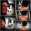 Andy Dharma Giri
