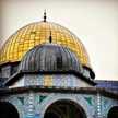 Mgd Yousef