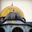 Mgd Yousef