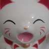 Fulana Felina