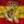 Jose Antonio Gutierrez Ruiz Jose Antonio Gutierrez Ruiz
