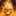 Nyte Prowler Nyte Prowler