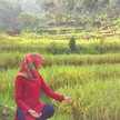 Nurani - Ranny'z