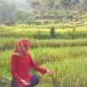 Nurani - Ranny'z